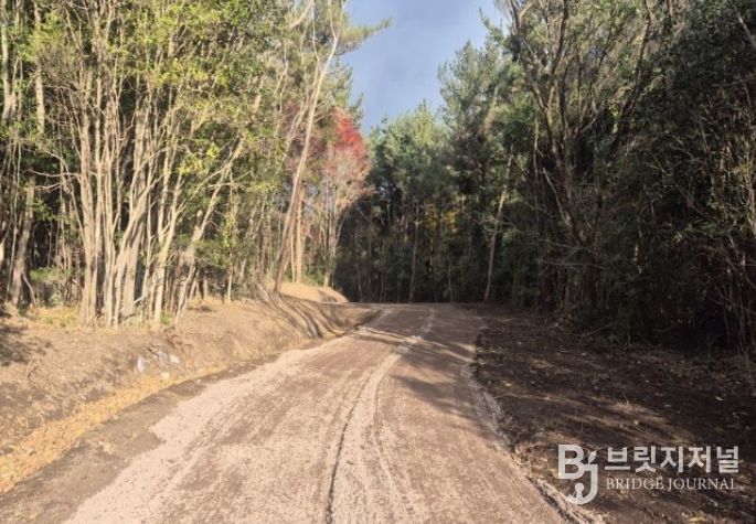 상효 임도 연장