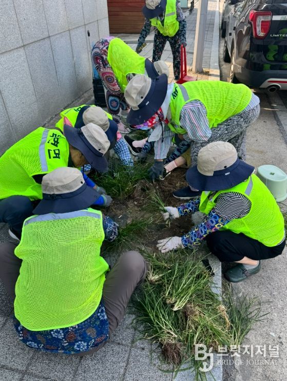 노인일자리 공익활동사업 참여자 대규모 모집