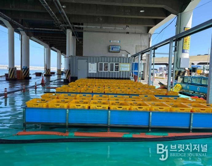 주문진항 위판장에 청정 해수공급