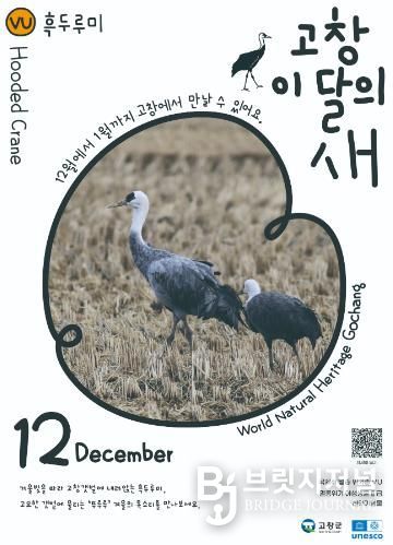 고창군, 12월 ‘고창갯벌 이달의 새’ 로 멸종위기 철새 ‘흑두루미’ 선정