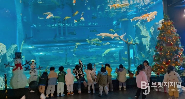 충북아쿠아리움에서 만나는 특별한 크리스마스