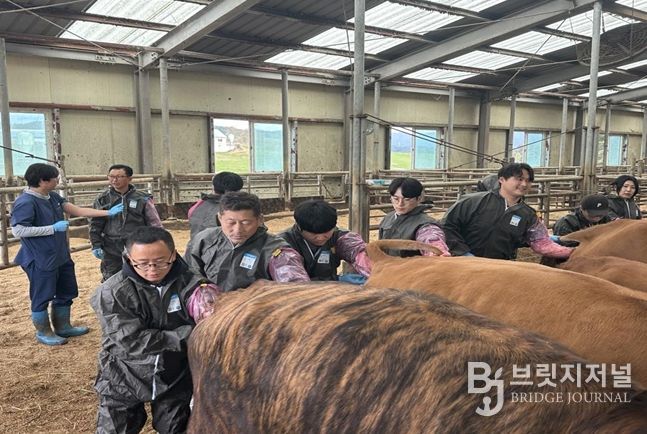 2025년 축산 전문교육