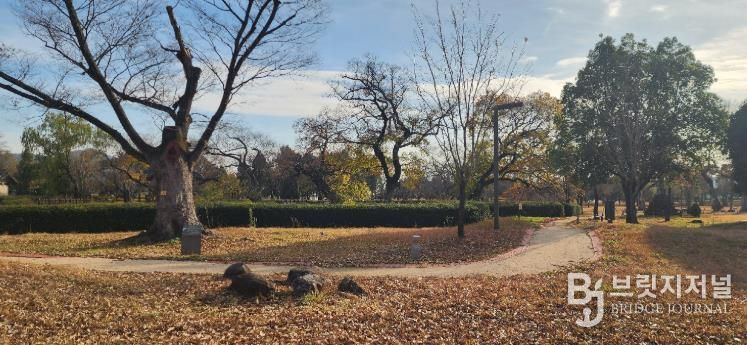 광양시 고즈넉하고 유서 깊은 겨울 여행지, 광양 유당공원