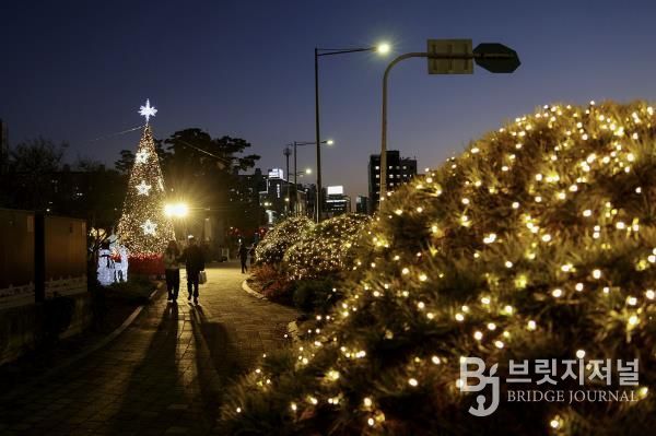 방학사계광장을 밝히고 있는 크리스마스 트리