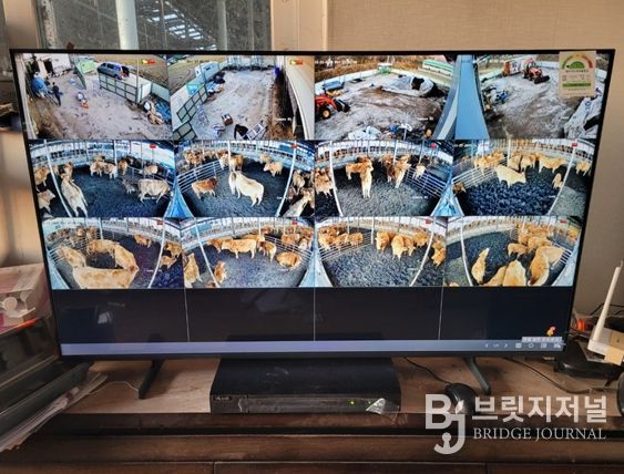 ‘2026년 축산분야 ICT 융복합 확산사업’ 선정 8억8천만원 확보