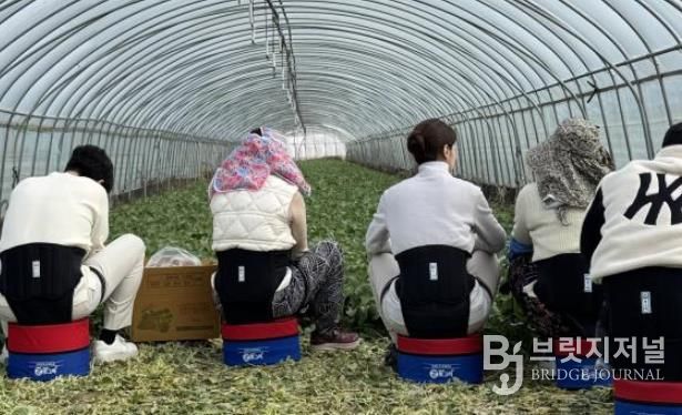 농작업용 편의의자 착용 뒷모습.