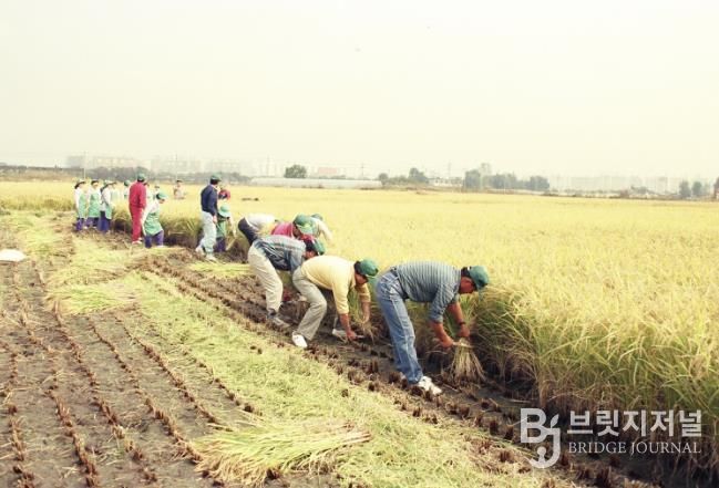 마곡지구 개발 이전 모습(1992년)