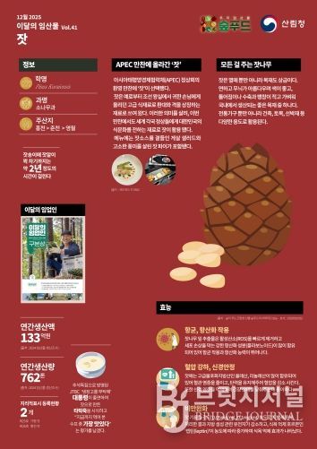 2025 이달의 임산물-12월 `잣`