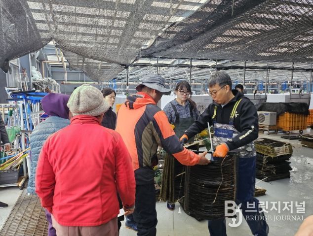 기장군, 해조류 종자생산 연구성과물 어업현장 보급