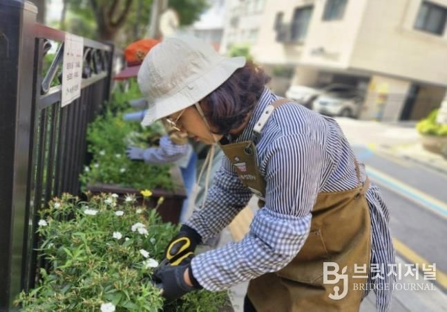 녹번동주민센터 뒤 사각화분 관리하는 모습