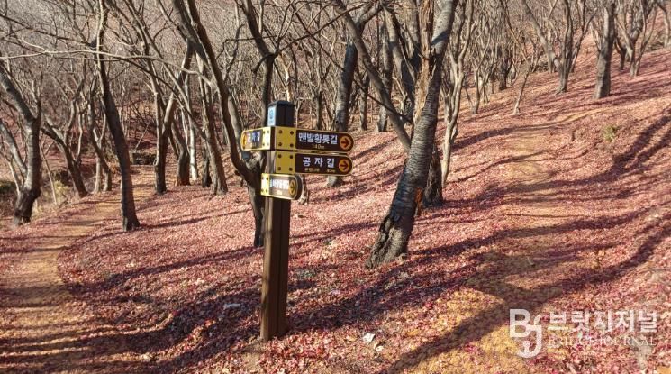 사천시, 향교숲길 조성완료… 시민 휴식․체험공간 확충
