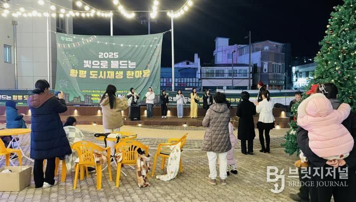 함평나비어울림센터 빛축제 전경