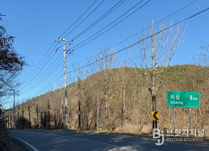 의성군, 주요 시가지 가로수 465본 가지치기 완료