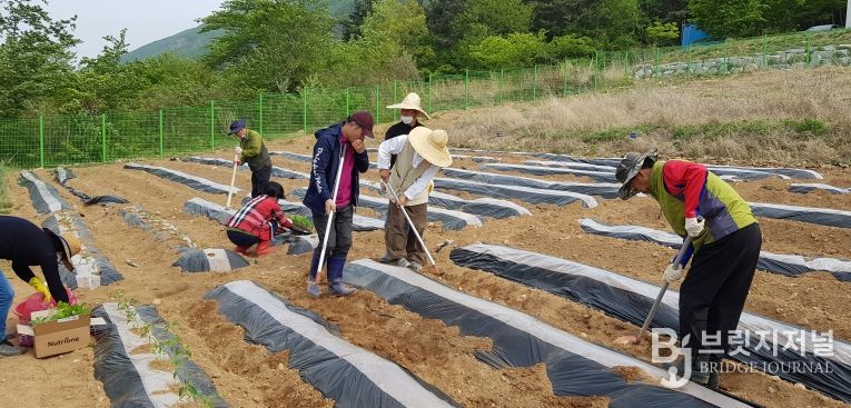 체류형농업창업지원센터 텃밭에서 교육생들이 실습하는 모습