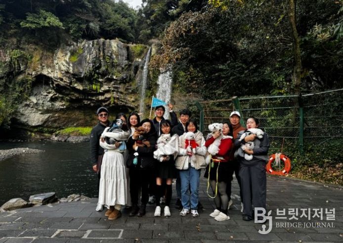 댕댕이와 비행기타고 서귀포 여행