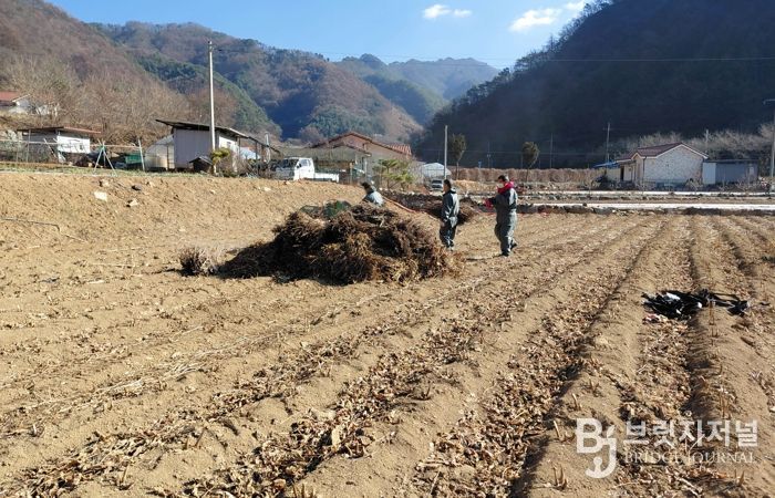 영농부산물 파쇄