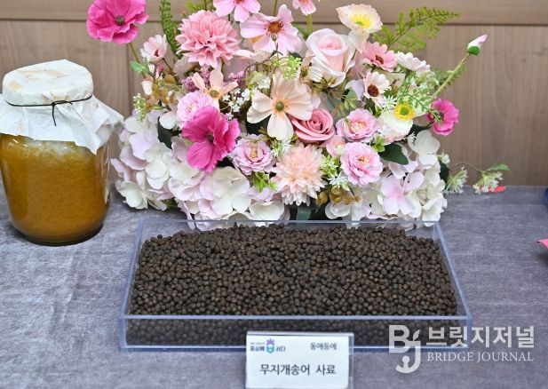 충북농기원, ‘항병원성 곤충사료’ 수산산업의 새로운 패러다임 제시