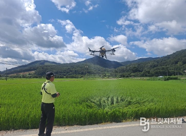 농작물 병해충 예찰방제