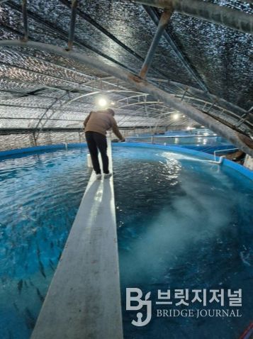 제주혁신성장센터 Route330 입주기업 메가플랜, 해양수산신기술(NET) 인증 획득