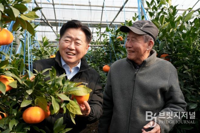 만감류 레드향 본격 출하에 따른 현장 방문