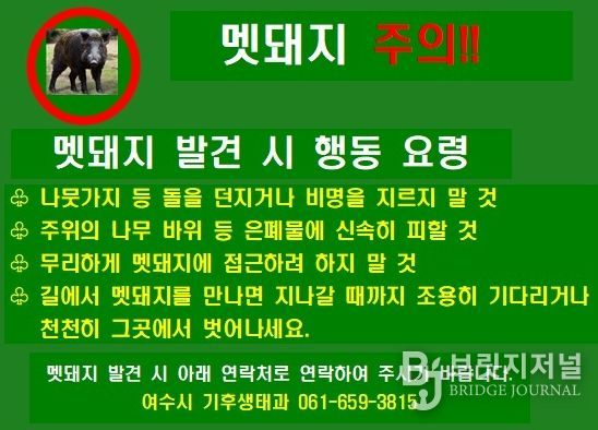 멧돼지 발견 시 반드시 숙지해야 할 행동 요령