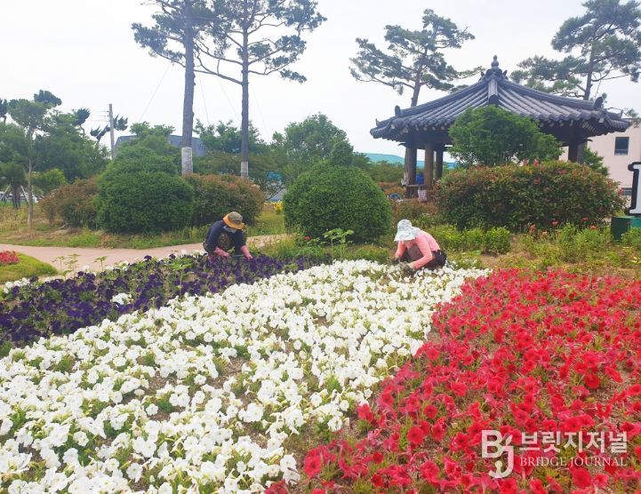 1. 보성군, 상반기 직접 일자리 사업 참여자 모집_보성군은 오는 1월 30일까지 상반기 직접 일자리사업 참여자를 모집한다고 밝혔다