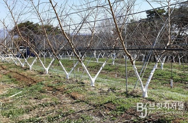 수성 페인트 도포 사진