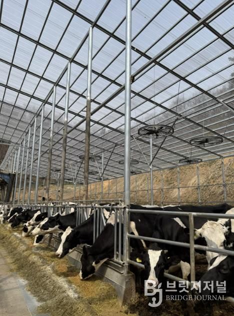 용인트례시가 '2026년 축산분야 생산지원사업' 희망 농가를 모집한다