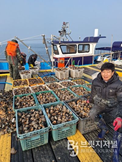 새조개 집산지 홍성 ‘남당항’ 참소라 대풍에 함박웃음