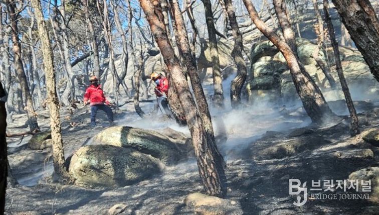 구미 산불 신속 진화