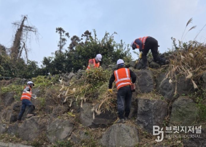 2026년 칡덩굴제거 사업