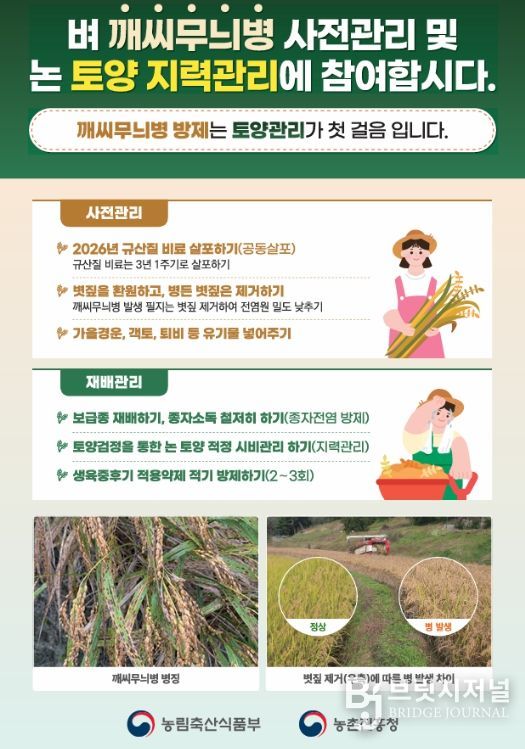 사천시, 벼 깨씨무늬병 예방 총력