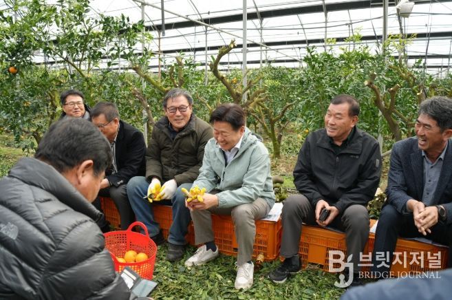 만감류 수확현장 방문