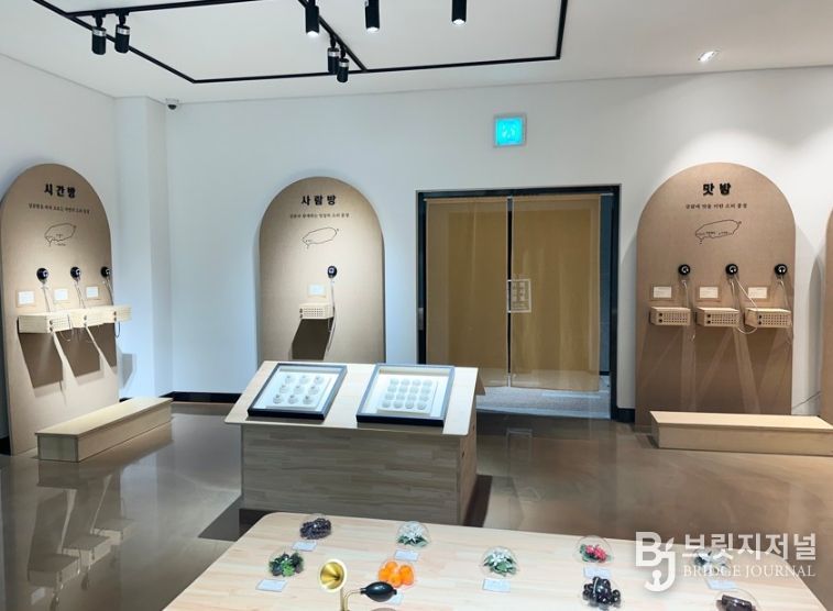 감귤 감각 저장소