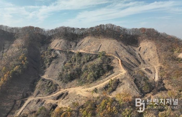 청주시, 수림대 남기는 친환경 목재 생산시 지원금 지급