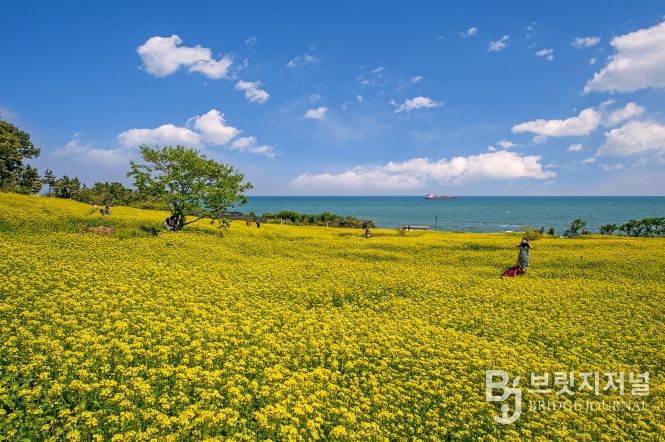 대왕암공원 해안둘레길