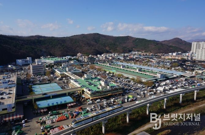 농수산물도매시장 전경