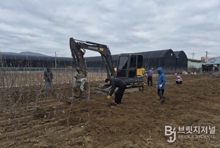 새봄 맞은 경산묘목시장, 출하 본격화로 활기 회복