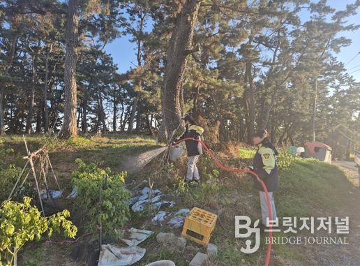 울산 중부소방서 남․여성의용소방대 정월대보름 대비 화재 예방순찰