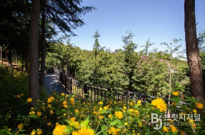 봉산 무장애숲길 모습