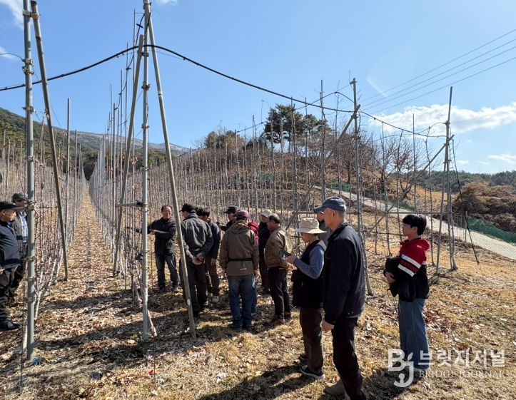 춘천시, 사과·복숭아 현장 밀착교육