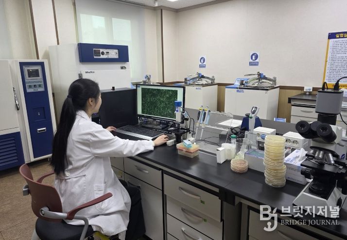 ‘탄저병’예방을 위한 특허 미생물 GH1-13 공급!