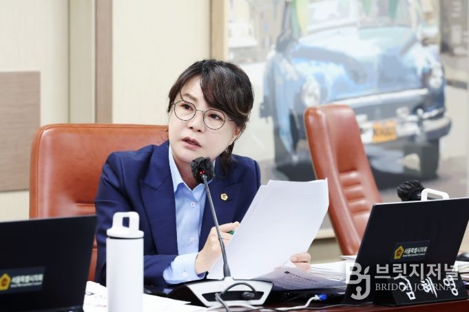 서울시의회 김혜영 의원