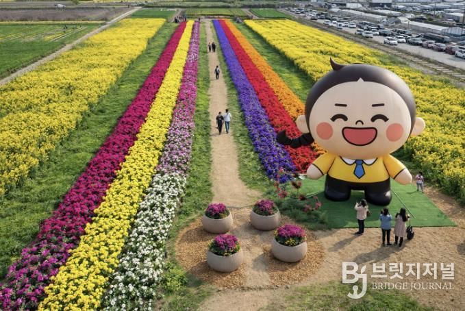 유채꽃축제 조감도