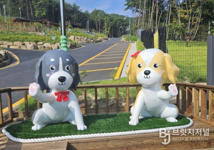 국립김천숲속야영장