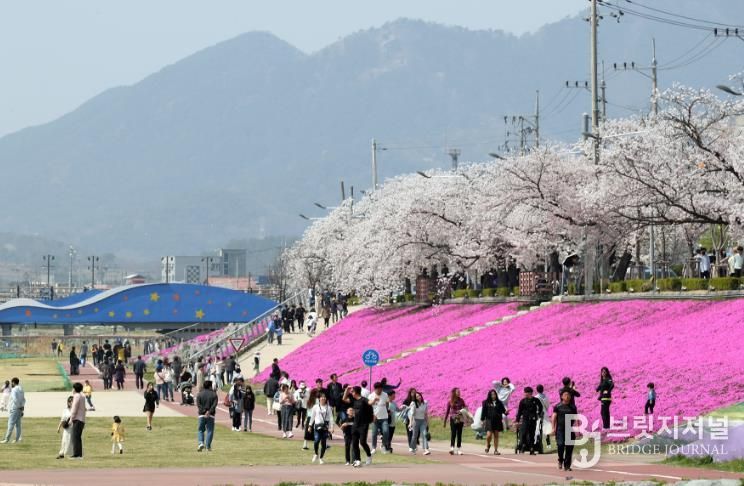 정읍시, 4월 3일~5일 ‘2026 벚꽃축제’ 개막…다채로운 공연·먹거리 풍성