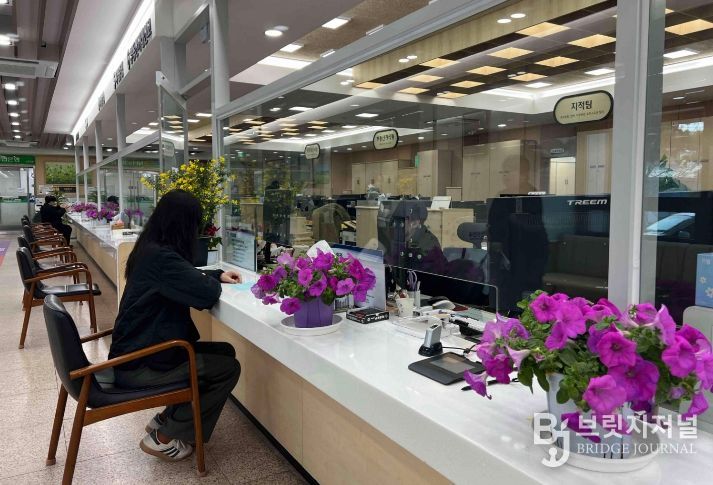 성주군, 봄맞이 민원실 꽃단장으로 따뜻한 민원 환경 조성