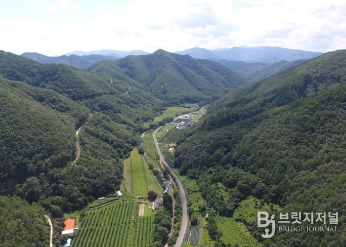 2020년 9월 선도산림경영단지로 최종 선정된 석계리 산림 전경.