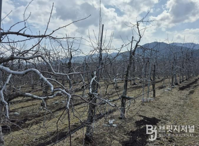 봉화군, 2026년 가업승계 우수농업인 정착지원 도 공모사업 선정