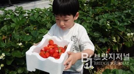 서울농장 농촌체험 프로그램